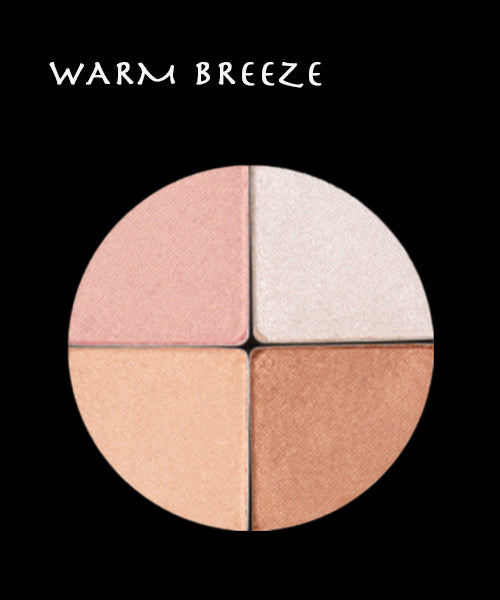QUATTRO BLUSHER SHADOW